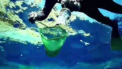 Trashed Bande-annonce (EN)