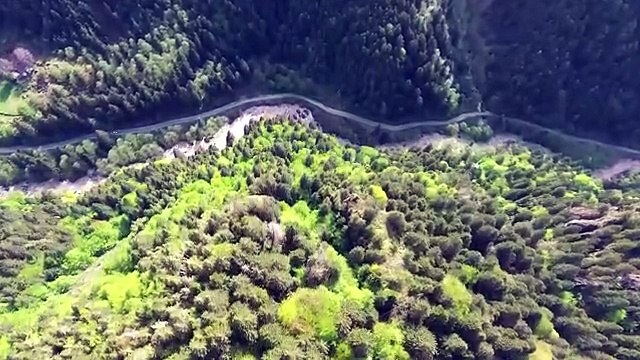 Tibetan Flute Music I Releases Melatonin and Toxin I Eliminate All Negative Energy Calm Down