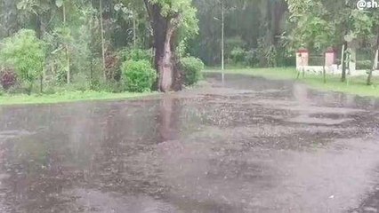 छतरपुर: जिले में लगातार हो रही बारिश से खुशनुमा हुआ मौसम, मौसम विभाग ने कही बड़ी बात