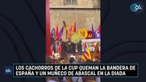 Los cachorros de la CUP queman la bandera de España y un muñeco de Abascal en la Diada