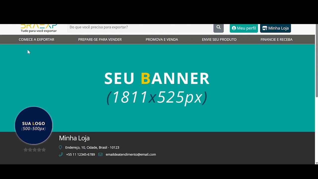 Tutorial BRAEXP - Configurações da Loja