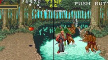 Warrior Blade: Rastan Saga Episode III (1991) gameplay