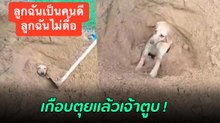 เมื่อเจ้าตูบสายมุด ขุดดินเป็นโพรงแล้วดินถล่มทำติดออกไม่ได้ แม่ร้องดีนะมีคนไปเจอ