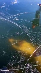 Worst nightmare caught on camera 