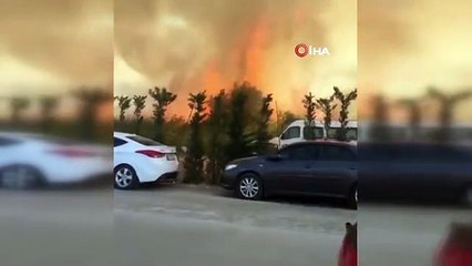 Yalova'da çalılık arazide çıkan yangın kontrol altına alındı