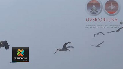 tn7-bandada-de-pelicanos-volcan-poas-110923