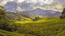 MinAgricultura busca declarar una zona de producción e alimentos en Cundinamarca