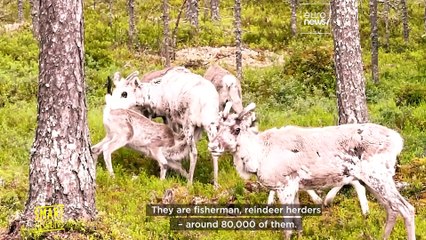 ‘Where words end, the yoik begins’: The Sámi people’s struggles to preserve their tradition