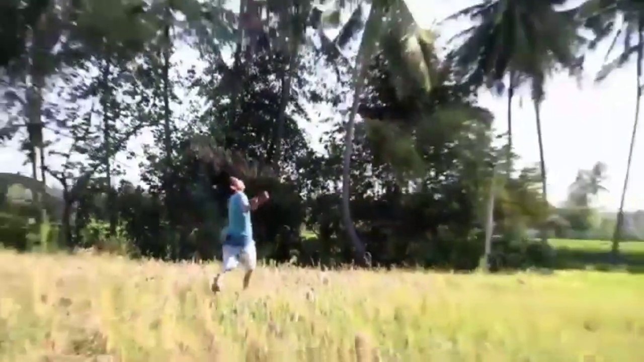 Paper model  Boeing 777-300 er Garuda Indonesia