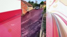 'Rio' de vinho inunda ruas de cidade após depósito estourar; vídeo