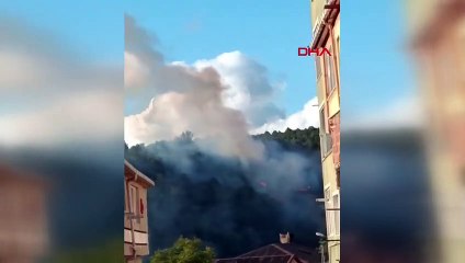 Sarıyer'de Ormanlık Alanda Yangın Çıktı