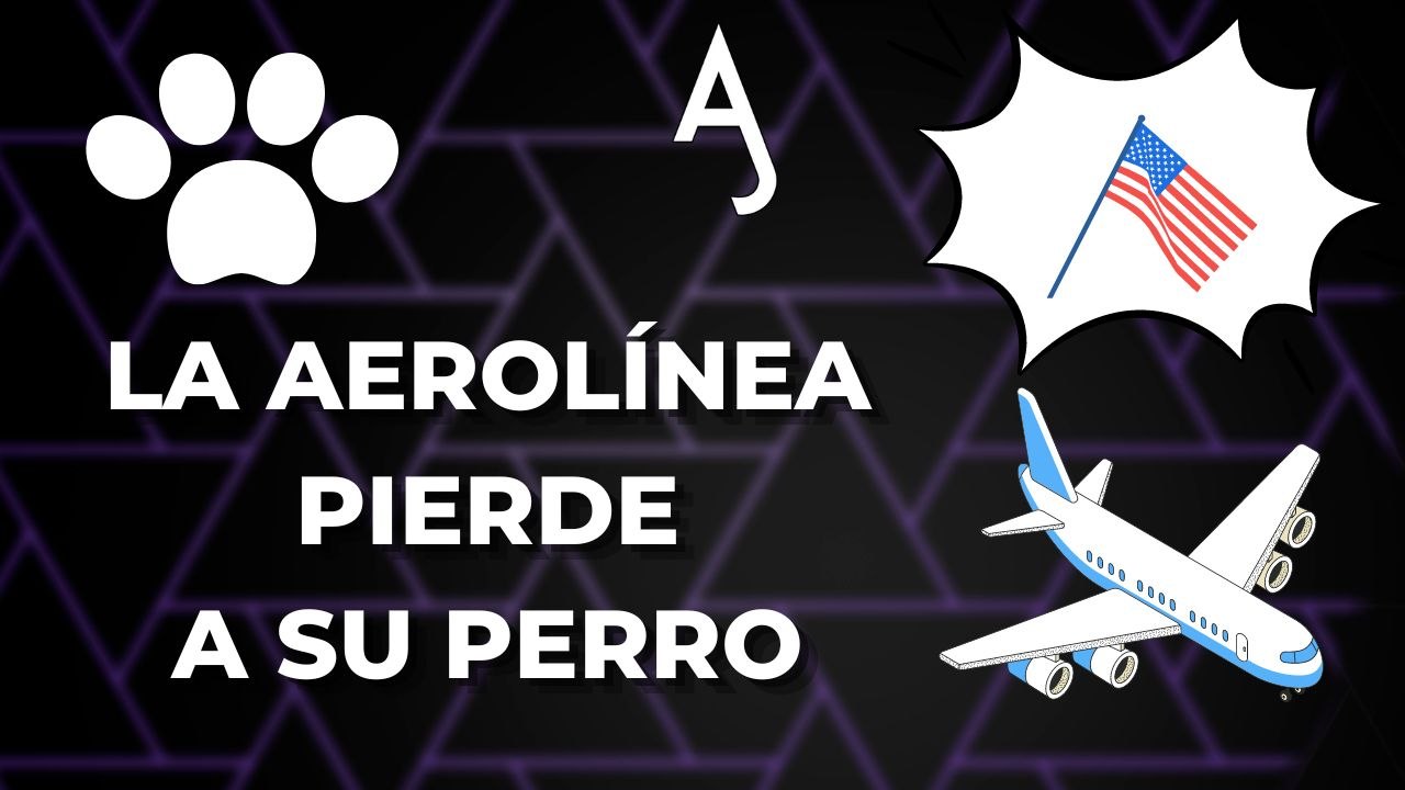 PIERDEN al perro de una pasajera en el aeropuerto ✈️