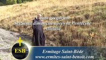Alléluia Cantate Domino du 16e dimanche après la Pentecôte - Ermitage Saint-Bède Jean-Claude Guerguy pour Ciné Art Loisir.