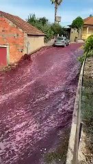 Portugal : un village victime d’une inondation de vin rouge
