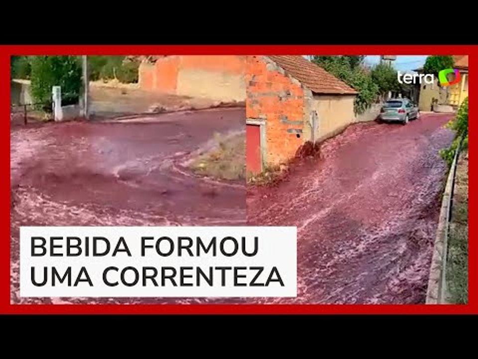 'Rio' de vinho inunda ruas após depósito estourar em Portugal