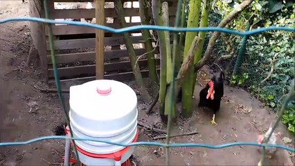 Morning rush 2017 may