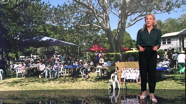 Death of Qld grandfather from snake bite prompts calls for vigilance ahead of breeding season