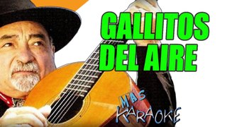 GALLITOS DEL AIRE - Argentino Luna (karaoke)