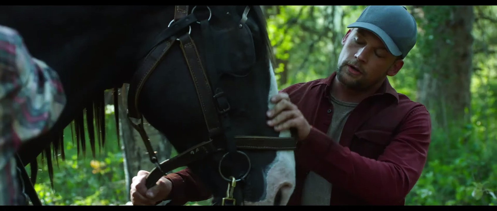 Heartland Staffel 15