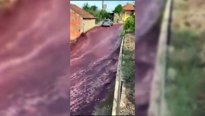 ext-millones de litros de vino tinto inundaron las calles de un pueblo de Portugal-1109+23