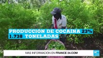 Colombia: producción de cocaína y cultivos de hoja de coca rompieron récords, según la ONU