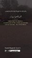 Surah baqarah quran recitation ayat 6 | quran recitation |JazakAllAH111