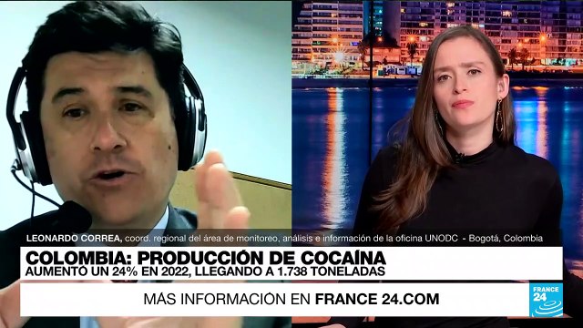 Leonardo Correa: La coca está aumentando fuertemente en zonas fronterizas de Colombia