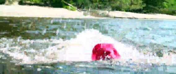 Big Brood Bande-annonce (EN)