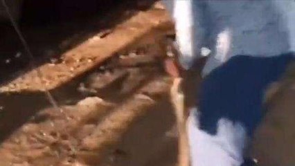 రంగారెడ్డి: హసన్ నగర్ లో భారీ కొండచిలువ కలకలం