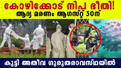 കേരളത്തിന്റെ നെഞ്ചിടിപ്പിച്ച് നിപ്പ ! 2 മരണം സ്ഥിരീകരിച്ചു. അതീവ ജാഗ്രതയിൽ കോഴിക്കോട്