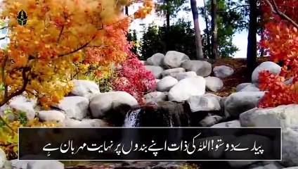 Forgive the sin by reading this word in Nimaz   100 Sal Ky Gunah Maaf   Islamic Teacher Official