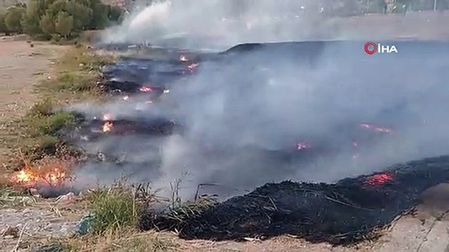 Van Gölü sahilinde sazlık alanda yangın