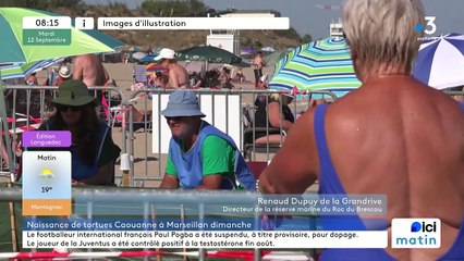 Renaud Dupuy de la Grandrive,  directeur de la réserve marine du Roc de Brescou