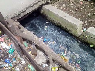 Kondisi Tempat Penampungan Sampah
