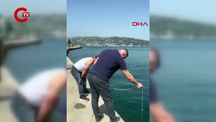 Sarıyer'de denize düşen yavru kediyi çevredekiler kurtardı
