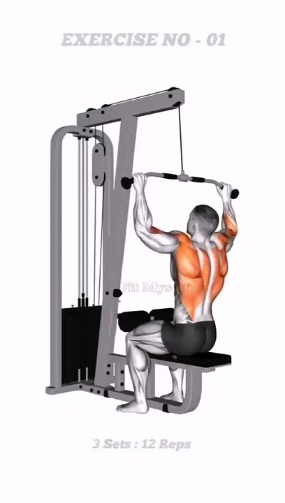 Back & chest workout