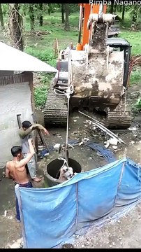 Cow Found Alive After Night in Residents Well