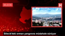 Bilecik'te Orman Yangınına Havadan ve Karadan Müdahale Ediliyor