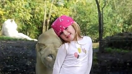 Une lionne fait une petite surprise à une fillette