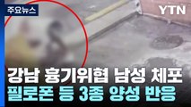 [단독] '흉기 위협' 람보르기니 30대 체포...마약 3종 양성 / YTN