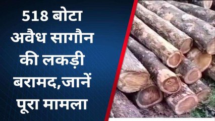 बलरामपुर: वन विभाग व पुलिस टीम को मिली बड़ी सफलता,लकड़ी माफिया को किया गिरफ्तार