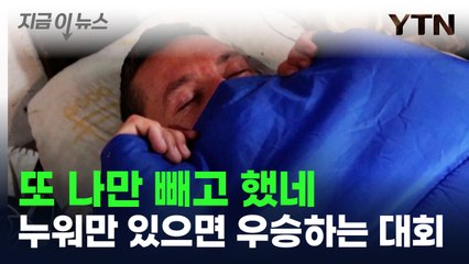 "누워만 있으면 우승"...상금도 주는 꿀 대회 근황 [지금이뉴스] / YTN