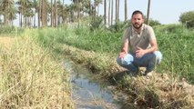 سيناريوهات مروعة تواجه العراق حال استمرار شح المياه