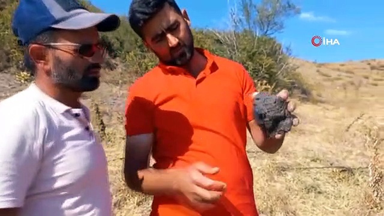 Hayvan otlatırken bulunan taşın göktaşı olduğu düşünülüyor