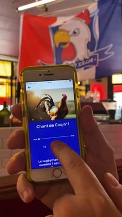 Faites chanter votre coq pour encourager les Bleu.e.s
