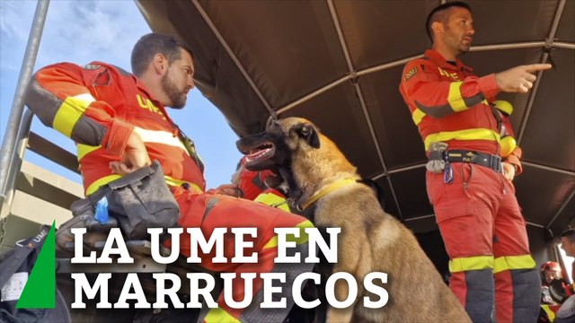 Más de 50 militares y cuatro perros de la UME trabajan en las labores de rescate en Marruecos