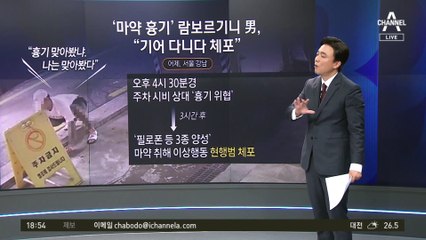 “칼침 맞아봤냐, 난 맞아봤다”…‘람보르기니 男’ 마약 양성