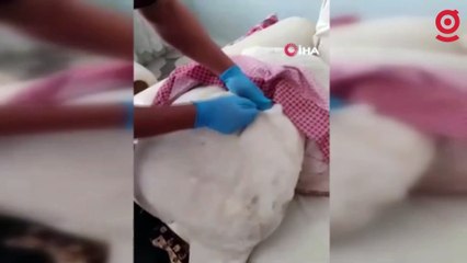 Oyuncak ayının içinden tabanca çıktı