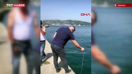 Denize düşen yavru kediyi vatandaşlar kurtardı