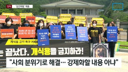 [단독]국민의힘, ‘개 식용금지’ 법제화 대신 캠페인으로 추진